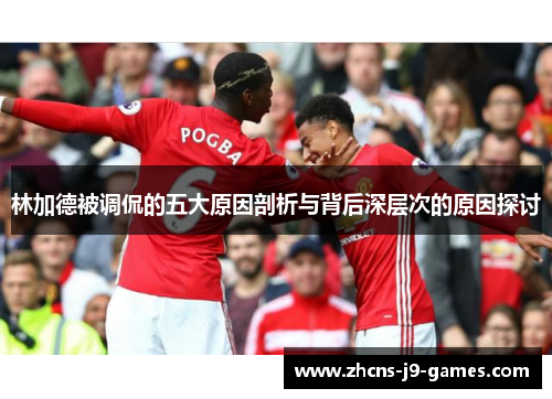 林加德被调侃的五大原因剖析与背后深层次的原因探讨