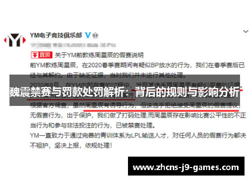 魏震禁赛与罚款处罚解析:背后的规则与影响分析 魏震禁赛与罚款处罚解析:背后的规则与影响分析